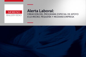 CREACION DEL PROGRAMA ESPECIAL DE APOYO A LA MICRO, PEQUEÑA Y MEDIANA EMPRESA
