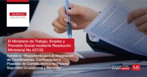 REGLAMENTO PARA LA DESIGNACIÓN DE COORDINADORES, CONFORMACIÓN Y POSESIÓN DE COMITÉS MIXTOS DE HIGIENE, SEGURIDAD OCUPACIONAL Y BIENESTAR