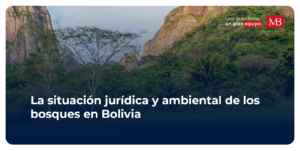 La Situación Jurídica Y Ambiental De Los Bosques En Bolivia