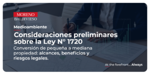 Consideraciones Preliminares Sobre La Ley N° 1720 (Conversión De Pequeña A Mediana Propiedad)